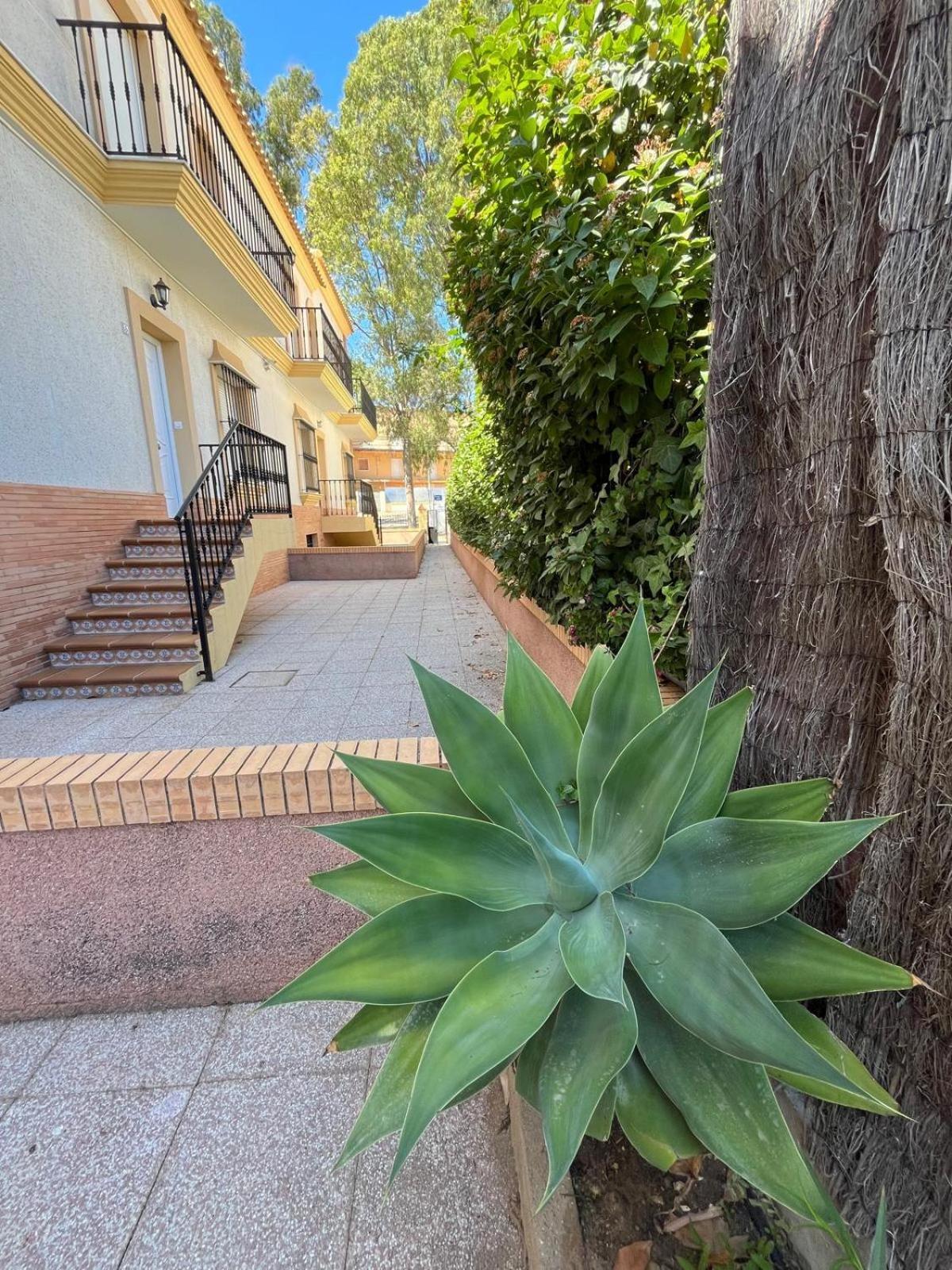 Apartamentos Turisticos Paraiso Andaluz 克莉丝蒂娜岛 外观 照片